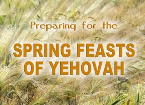 Screen Shot 2017 04 25 at 2.17.35 AM