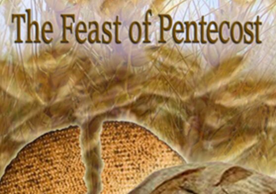 Screen Shot 2017 04 30 at 8.05.47 PM