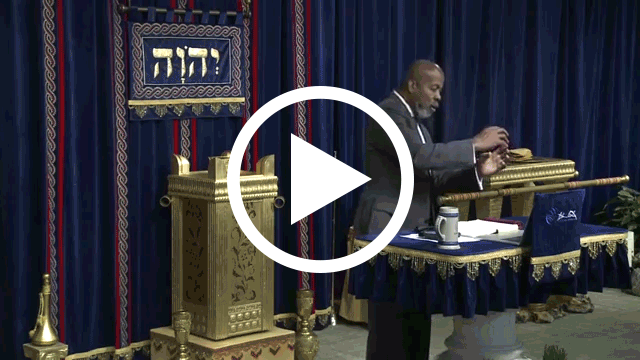 What is Everlasting Life The Gospel According to John Chapter 3 Pt. 4