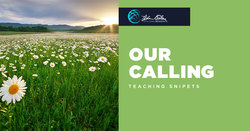 snippets cat our calling