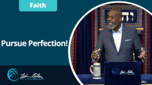 17 Pursue Perfection0