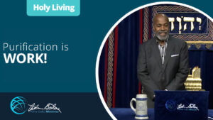 Purification is WORK