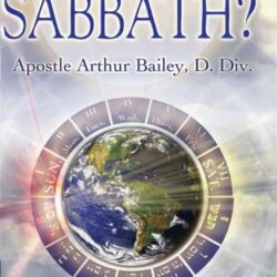 SINTS Ebook English ()